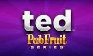Ted Pub Fruits Series